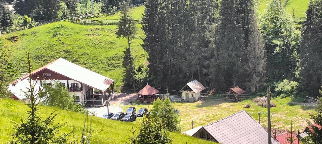 Pensiunea Trei Brazi Arieşeni Dış mekan fotoğraf