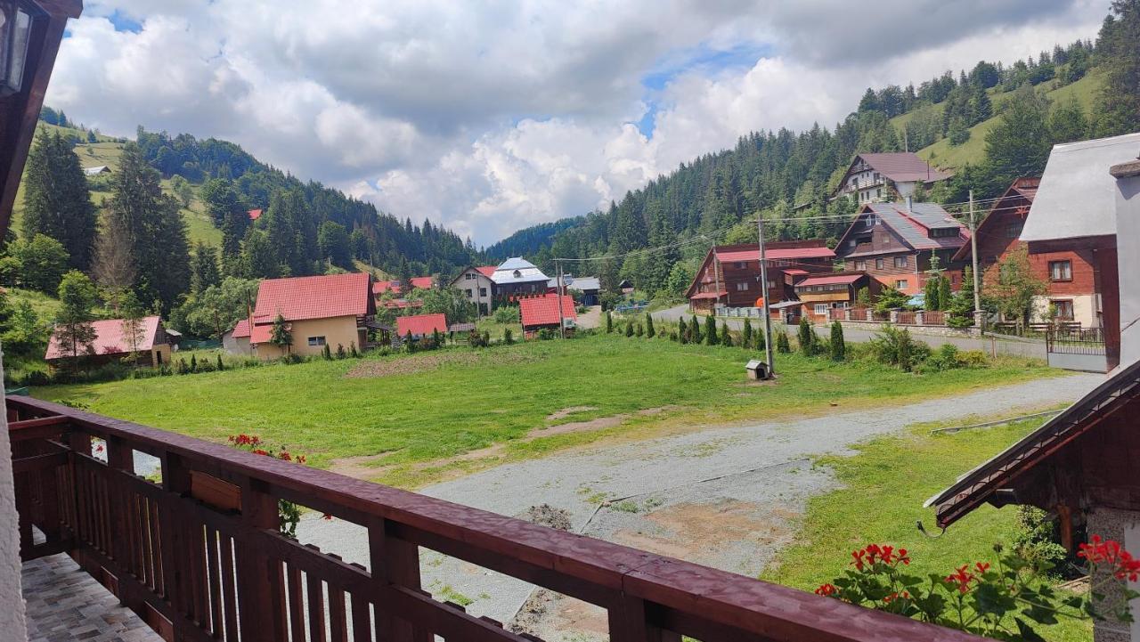 Pensiunea Trei Brazi Arieşeni Dış mekan fotoğraf